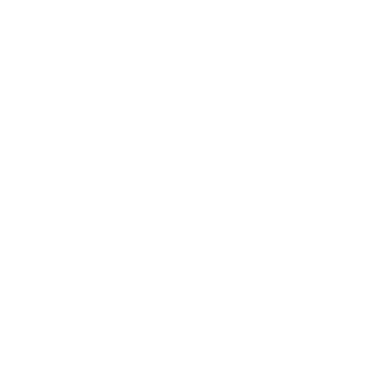 Audi pasuatmadi logo